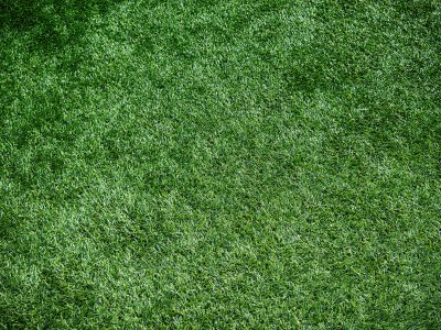 Artificial Grass