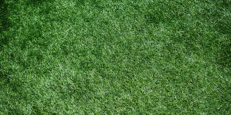 Artificial Grass