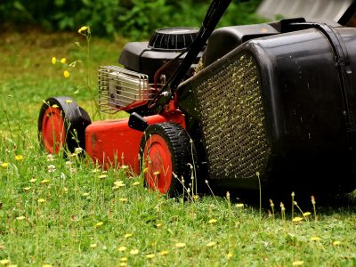 Lawn Mowing