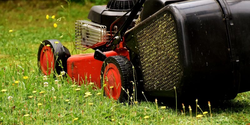 Lawn Mowing
