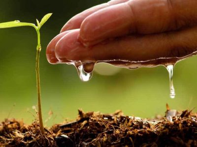 Soil Wetting Agents For Water Repellent Soils