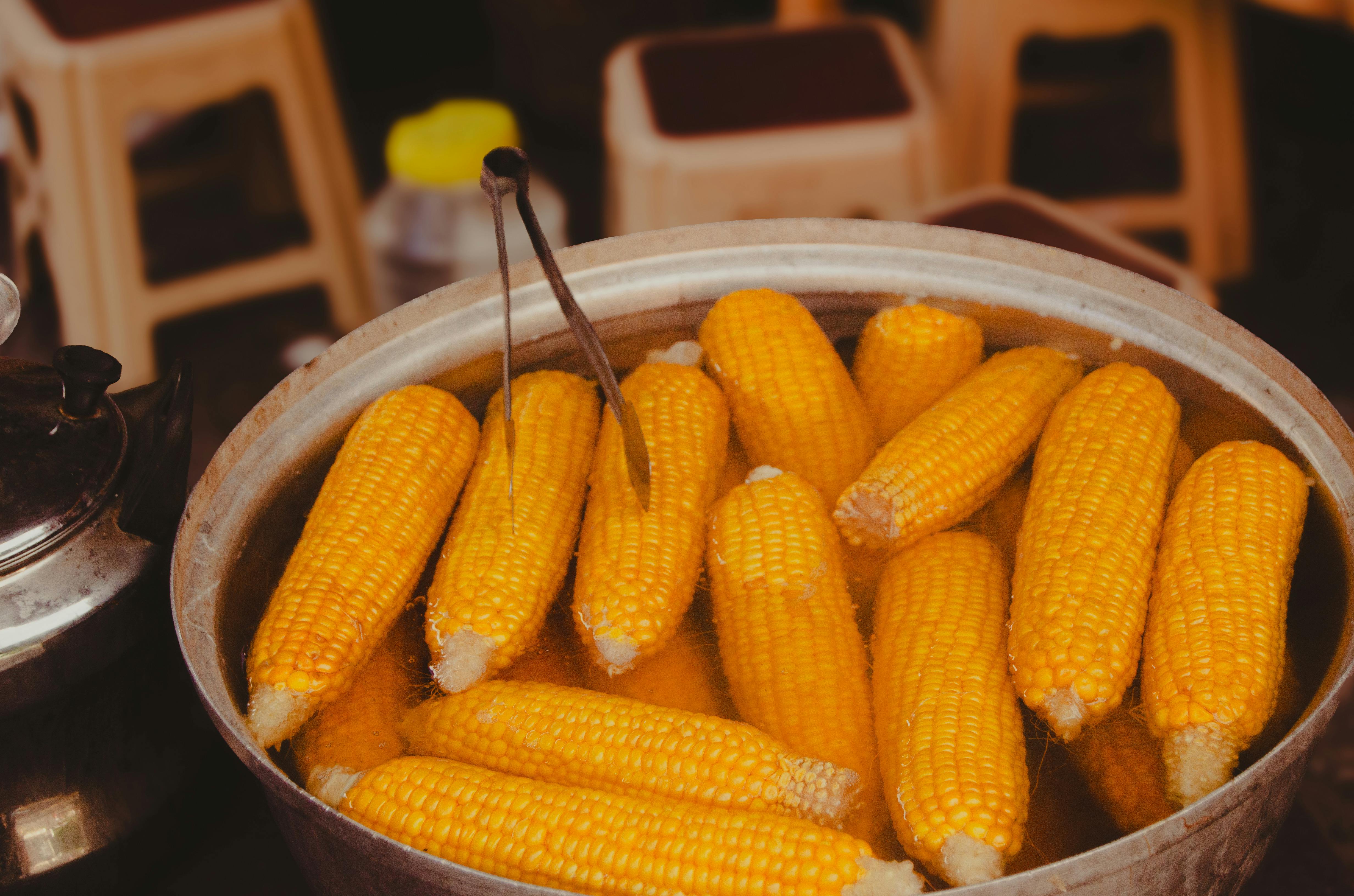 how to freeze corn on the cob