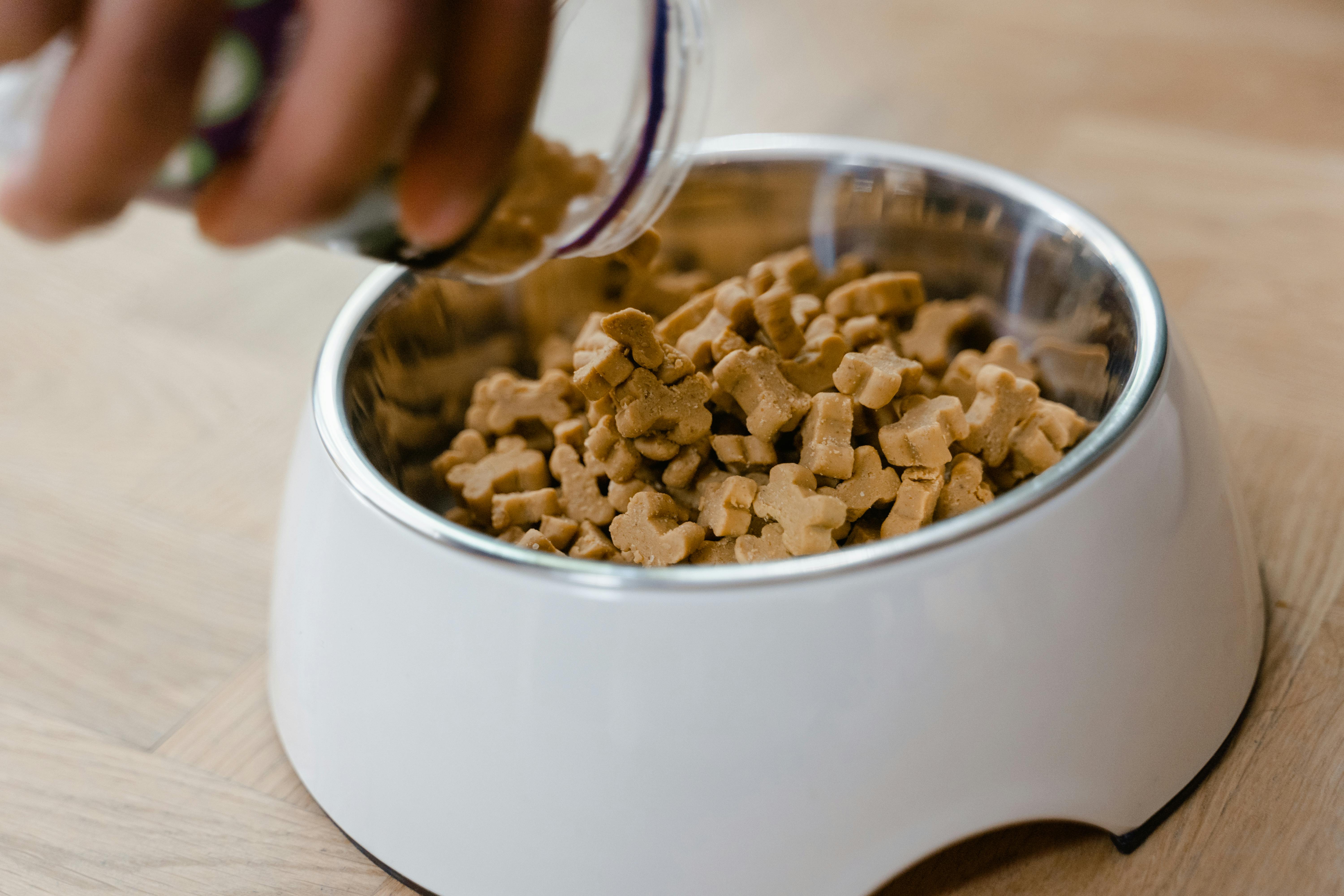 best puppy food for small breeds