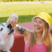 can dogs eat watermelon